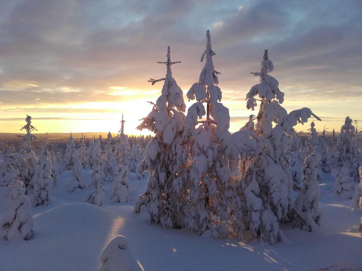 Ollilan Lomamajat Vila Kuusamo Exterior foto